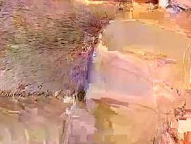 sallybush Cam