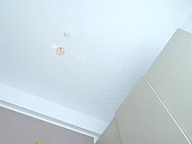 artesophie Cam