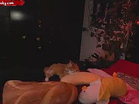 ziny_cosky Cam