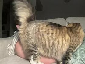 bkigg24 Cam