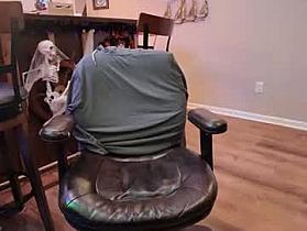 incognitocameltoe Cam