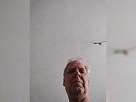 Lichterengelchen Cam